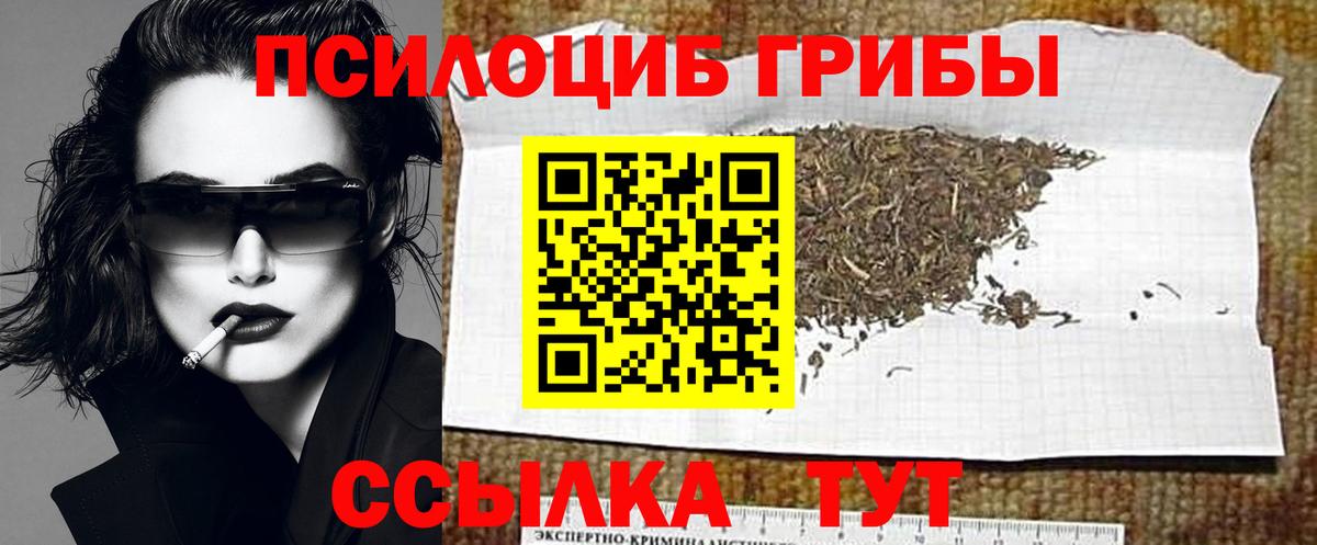 Галлюциногенные грибы прущие грибы  Галлюциногенные грибы Cubensis  Вход с VPN  Рузаевка 